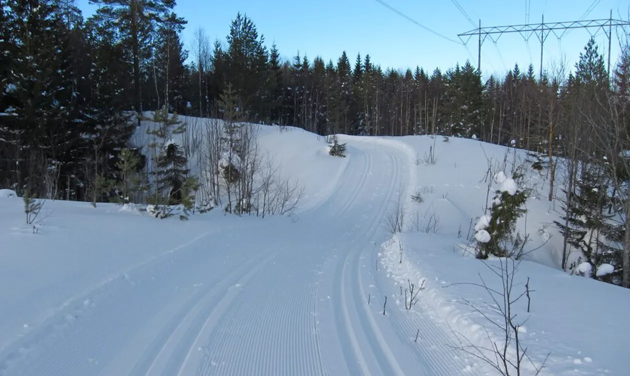 Fine spor i Kollerløypa Fine spor i Kollerløypa
