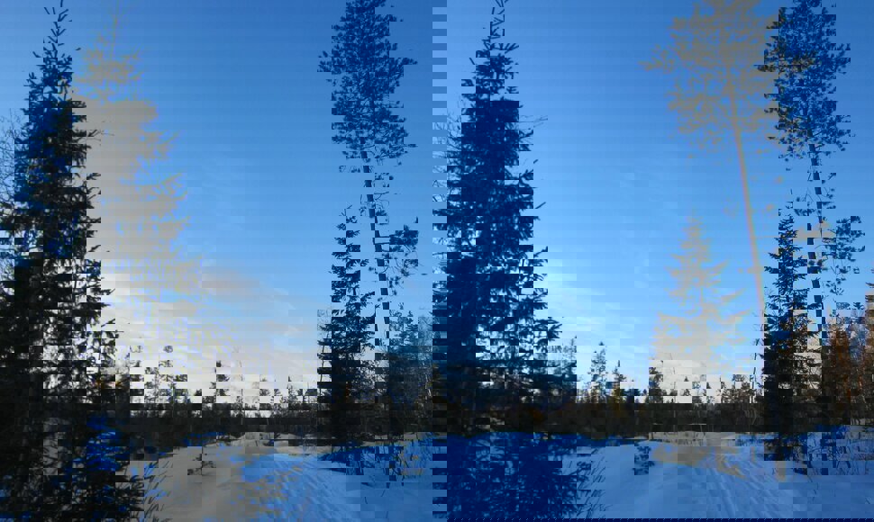 Løypestart ved Myrheim