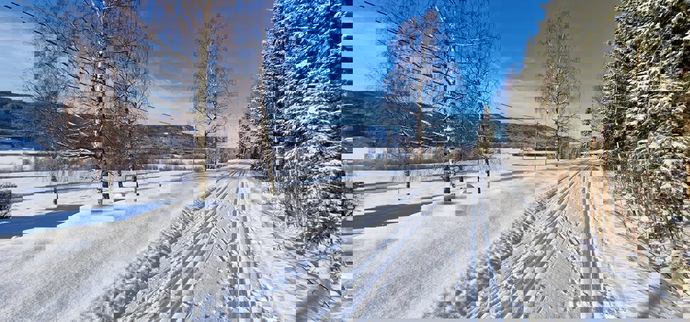 Trikkeskinner har erstattet togskinner