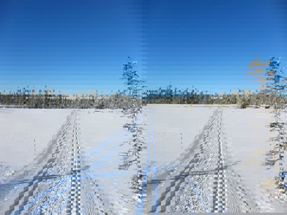 Spor over Tægermyra