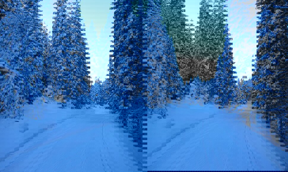 Supertrase gjennom Stillvatndalen